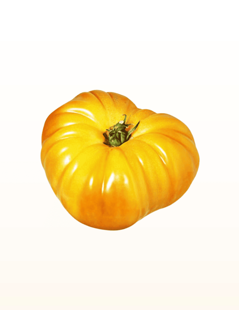 Tomate Ananas